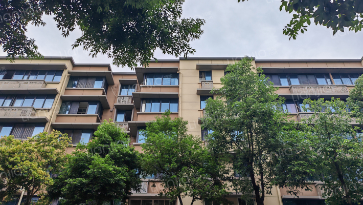 龙泉中街106号外景图