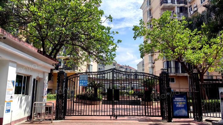 晨光江景外景图