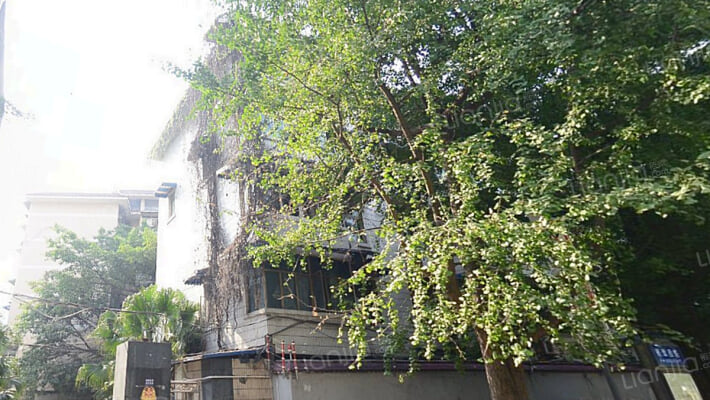 锦里西路129号外景图