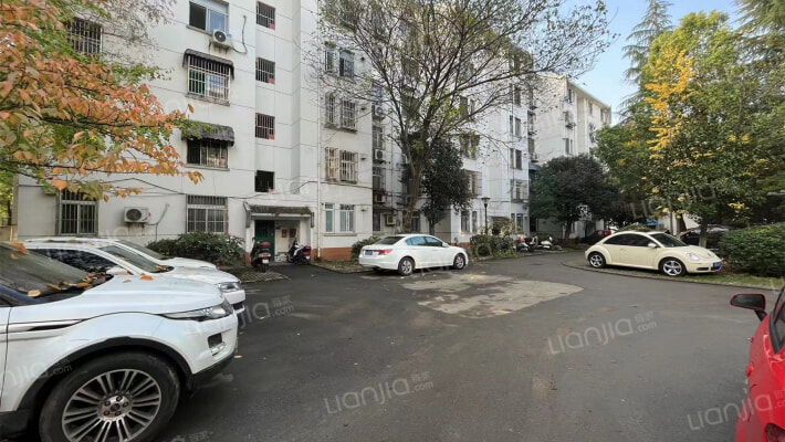 琥珀东村外景图