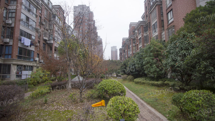 东方明珠三村外景图