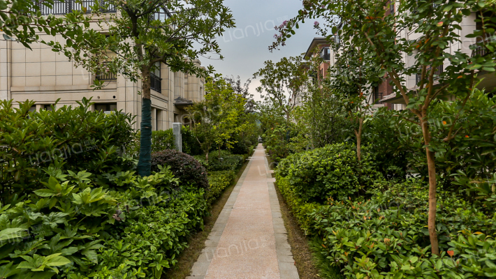 山水壹号外景图