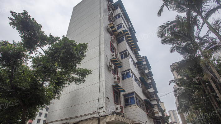 松牌路130号外景图