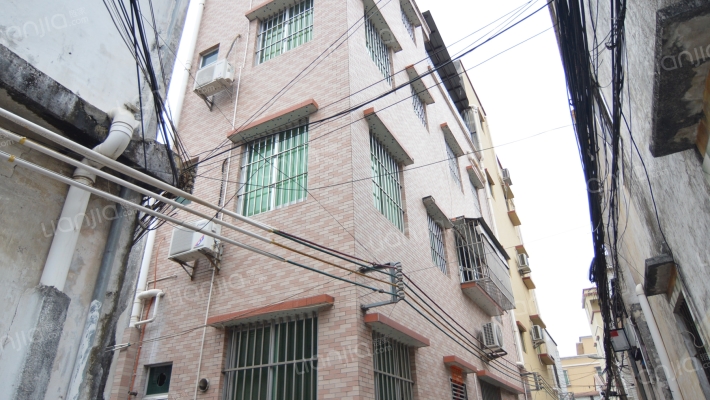 张家边自建房外景图