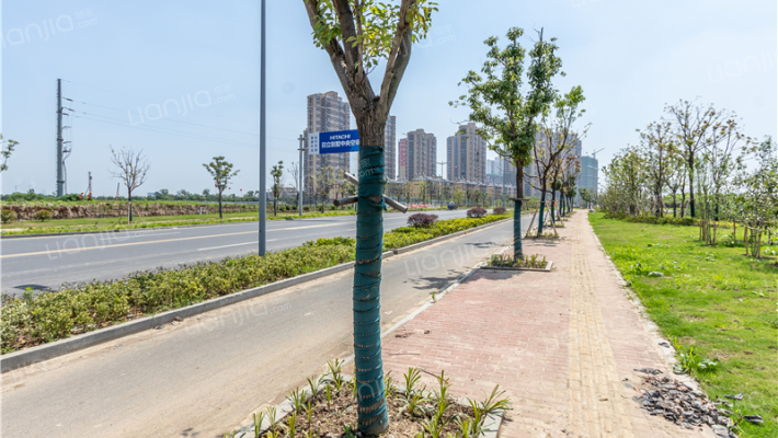 阳光城丽景湾外景图