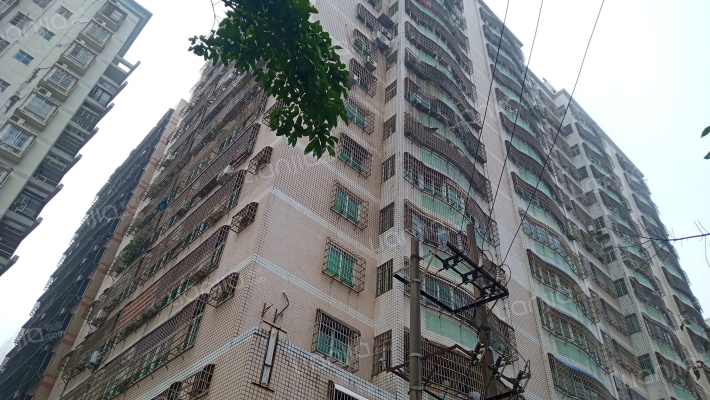 国检公寓外景图