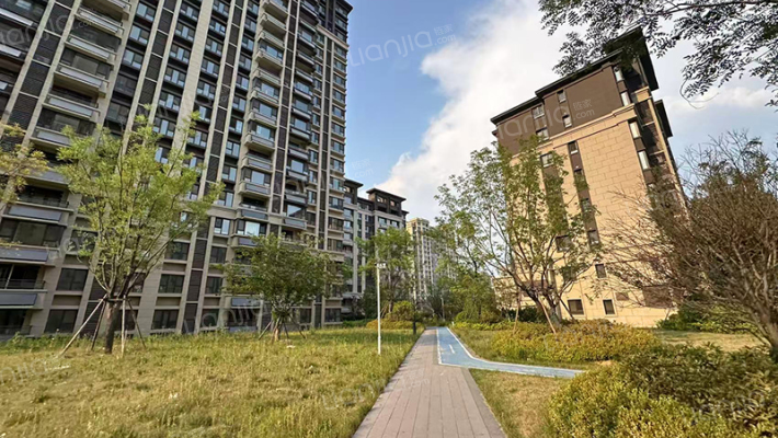 金科集美天宸外景图