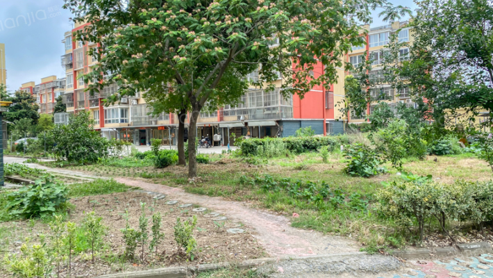 春江花苑6区外景图