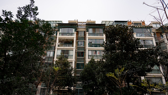 国际华城三村外景图