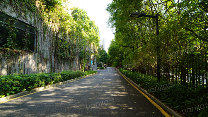 豪进山湖珺璟外景图