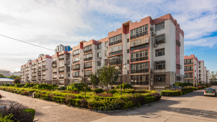 税苑小区外景图