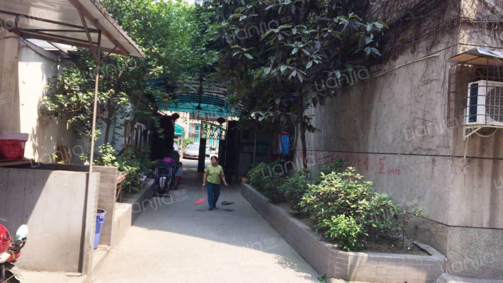 莲花新区北三巷8号外景图