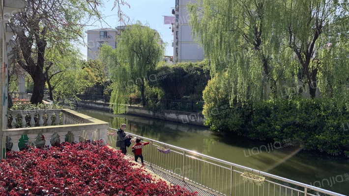 黄山始信苑外景图