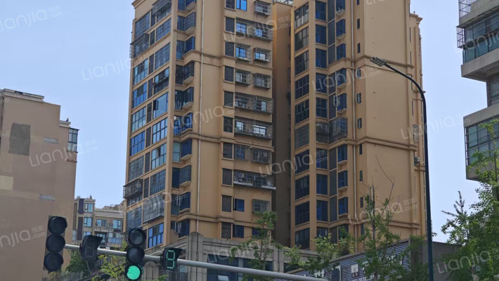 隆诚丽都外景图