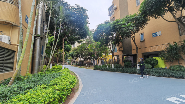 禾丰新景外景图