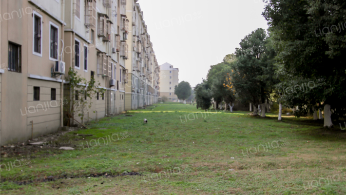 金色家园外景图