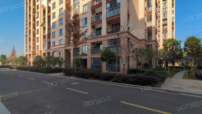 牛皋花苑外景图