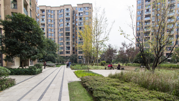 芸峰兰亭外景图