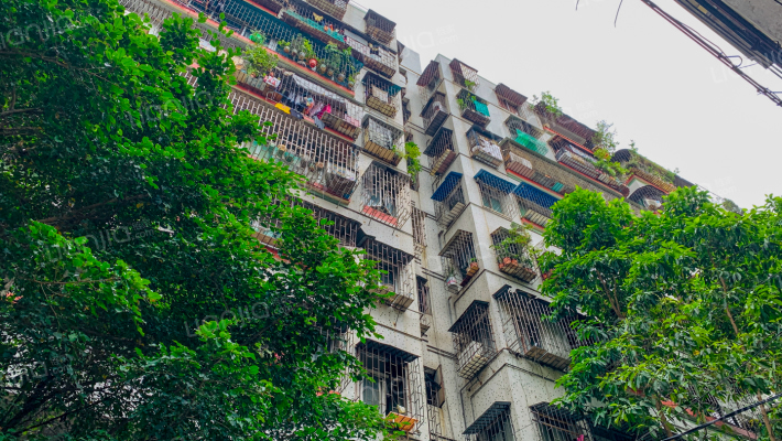 松风路8号外景图