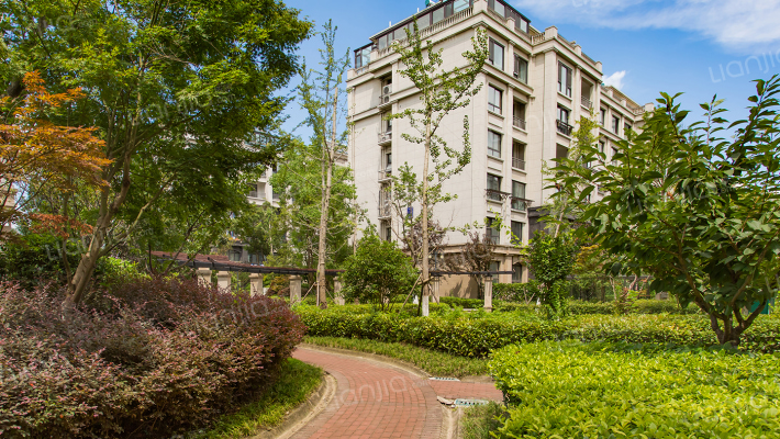 金水湾鑫园外景图