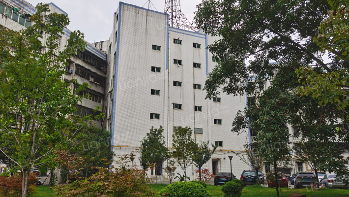 长江东路26号外景图