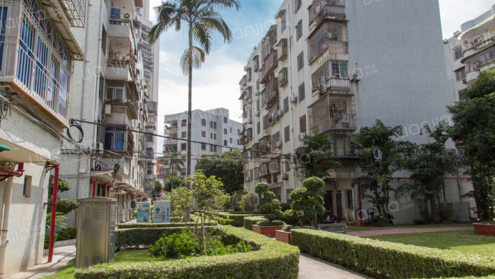 海青花园外景图