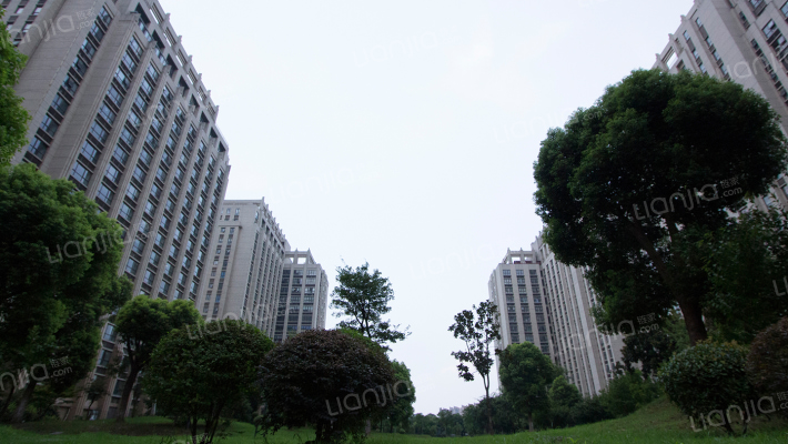 君地新大陆外景图