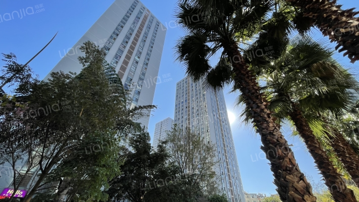 金福地花园外景图