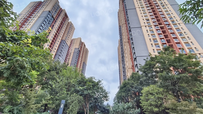 万科金域国际一期外景图