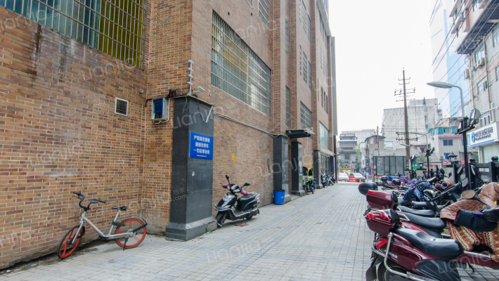 黄金之城外景图