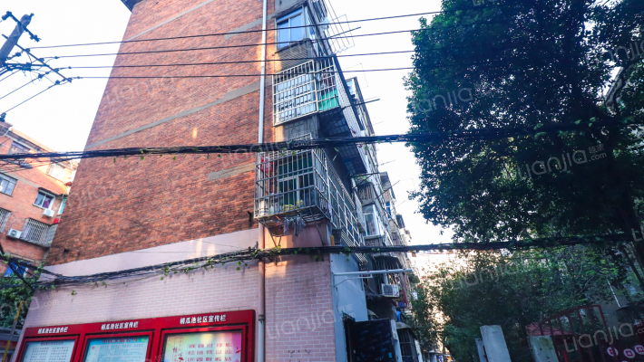 八一大道外景图