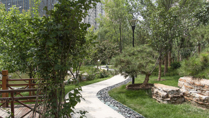 公园伍号外景图