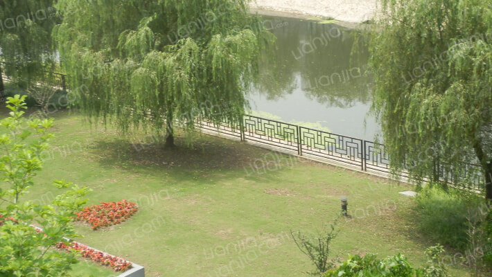 沁风雅泾外景图