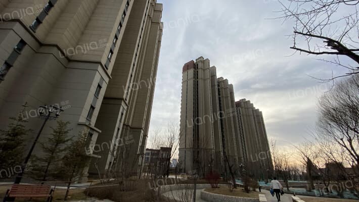 恒大滨江左岸外景图