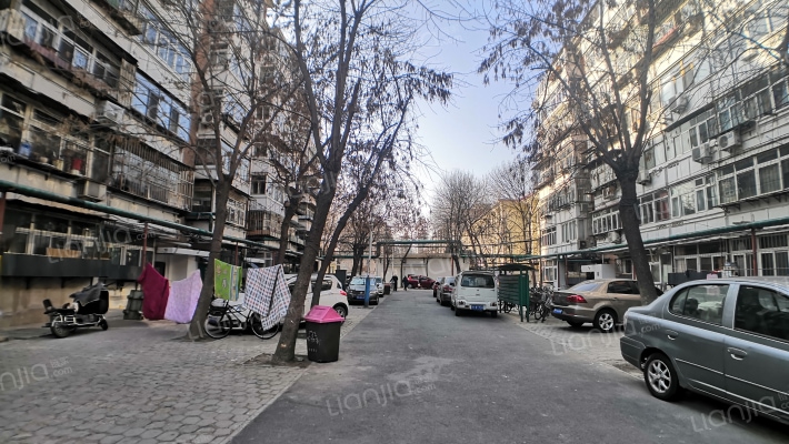 文苑楼(河西)外景图