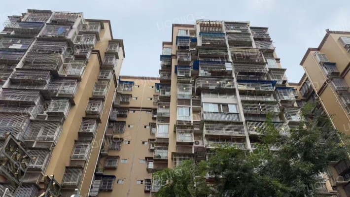 凤凰雅苑外景图