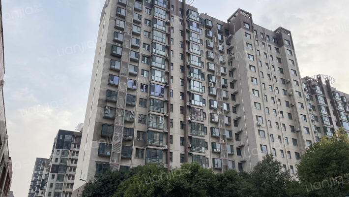 雅园国际花都外景图