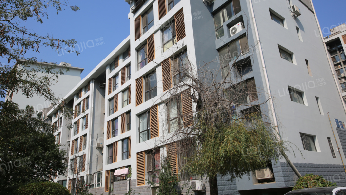 青年居易外景图