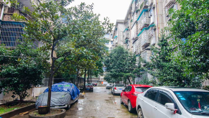 外国语宿舍外景图