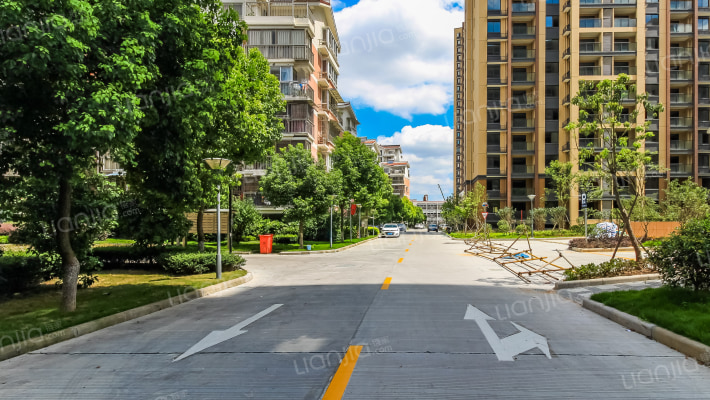 薛家新家园外景图