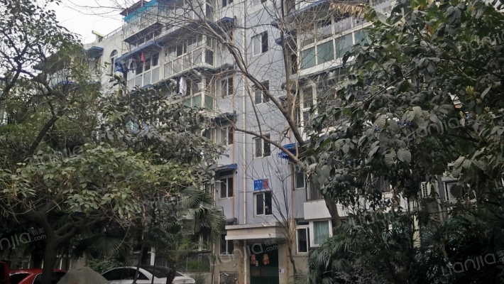 九里阳光外景图