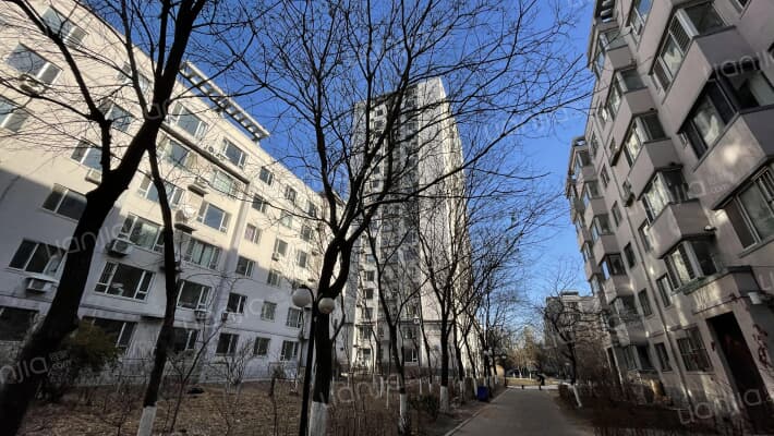 博客地带外景图