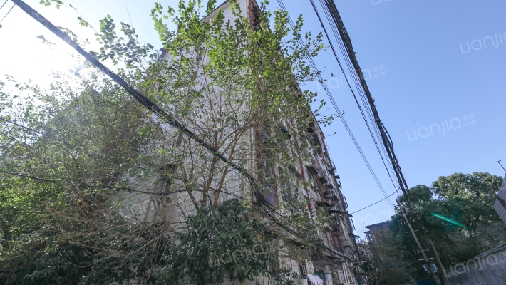 洪都中大道256号外景图