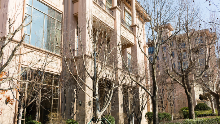 亿锋8号领袖官邸外景图