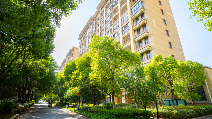 逸品汤山外景图