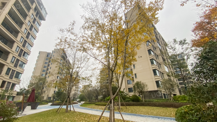 龙兴国际生态新城天璞外景图