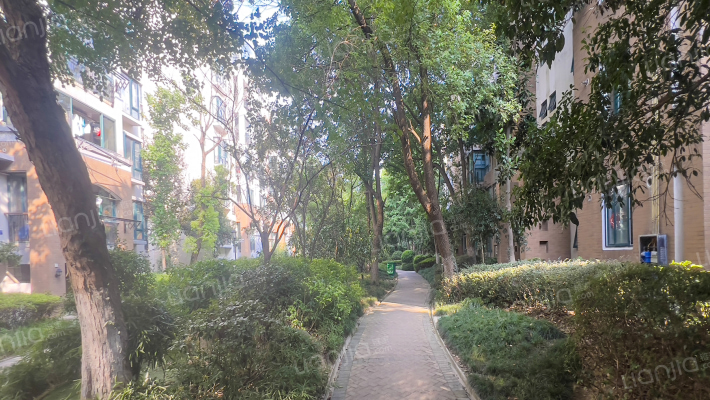 凤凰城南岛白桦轩外景图