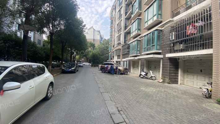 银河柳岸外景图