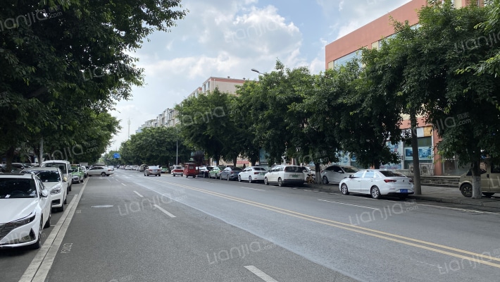 华莱丽景外景图