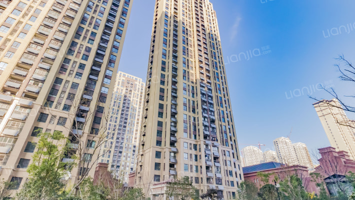 禹洲中央城外景图